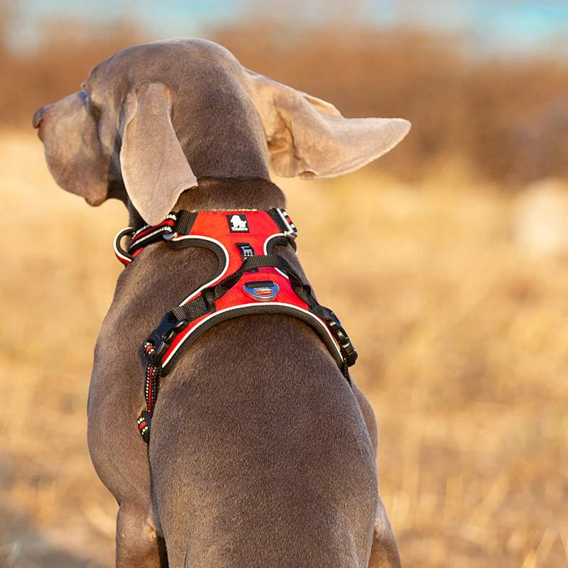 Truelove-arnés para perros de  - Reflective Jacket Running reseña y precio